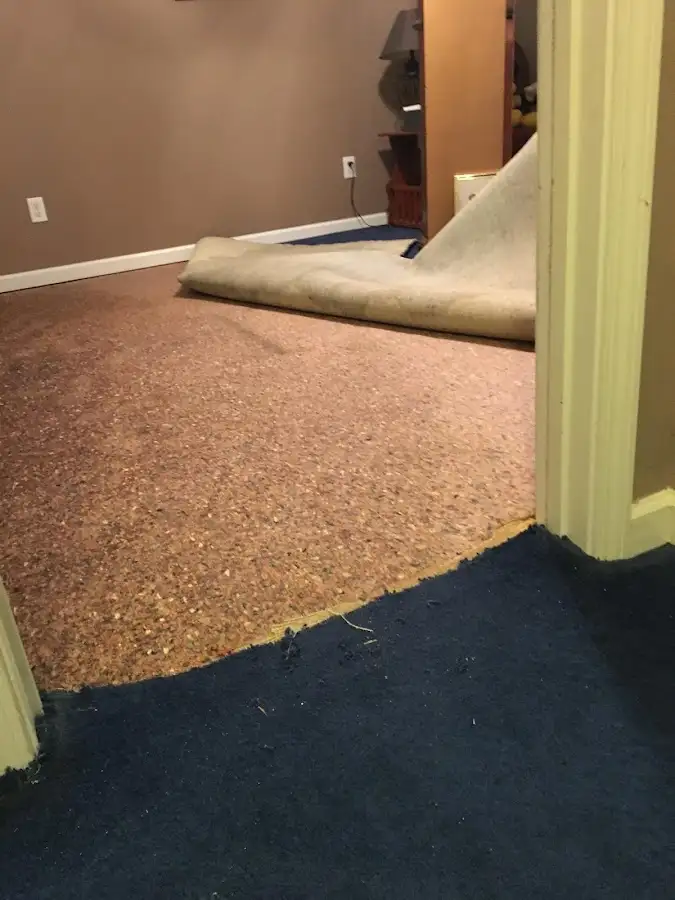 Carpet pad removal revealing water damage during Drying & Dehumidification in Pleasant View