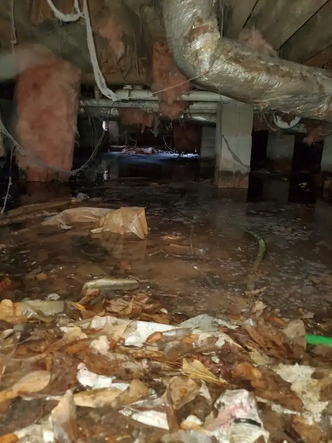 Crawl space flood assessment for Leak Detection & Repair in Pleasant View