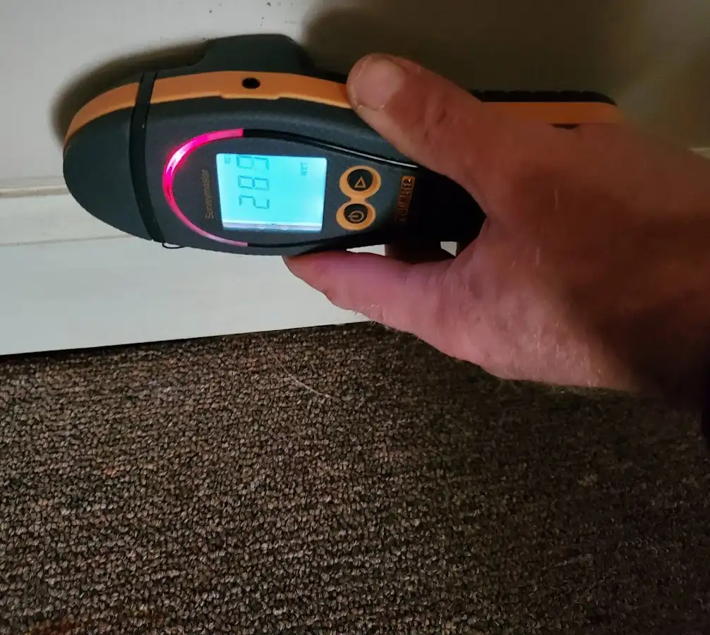 Moisture detection at baseboard during Mold Inspection & Testing in Pleasant View